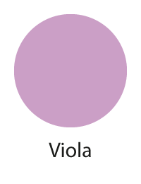 Viola